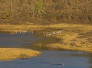 Na_poti_Branko Česnik